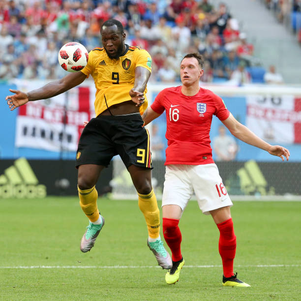 它们往往能 它们往往能